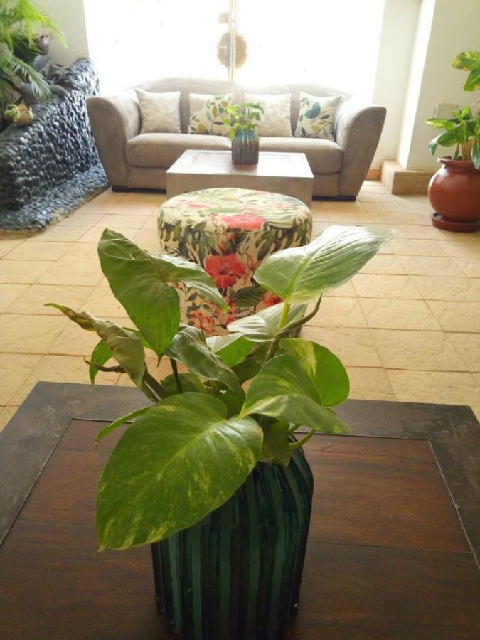 Illiyin Boutique Hotel ダカール エクステリア 写真